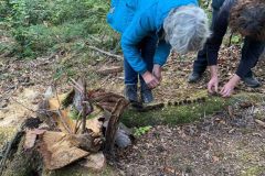 Kunst in und mit der Natur 6. Oktober 2023